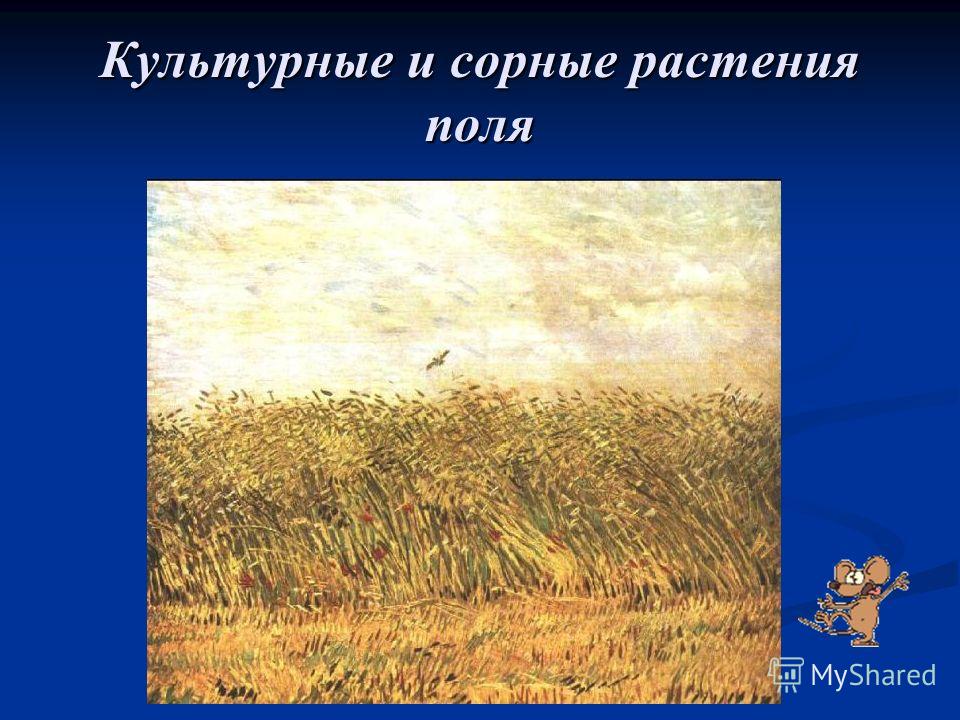 Как животные поля связаны с растениями Как животные поля связаны с растениями