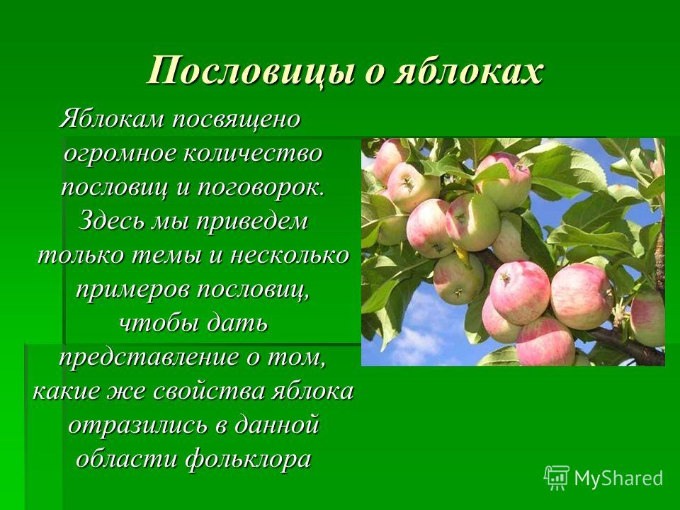 Купить аксессуары для маникюра и педикюра в интернет магазине Крем основа под макияж nanoderm - IGORA Профессиональное окрашивание
