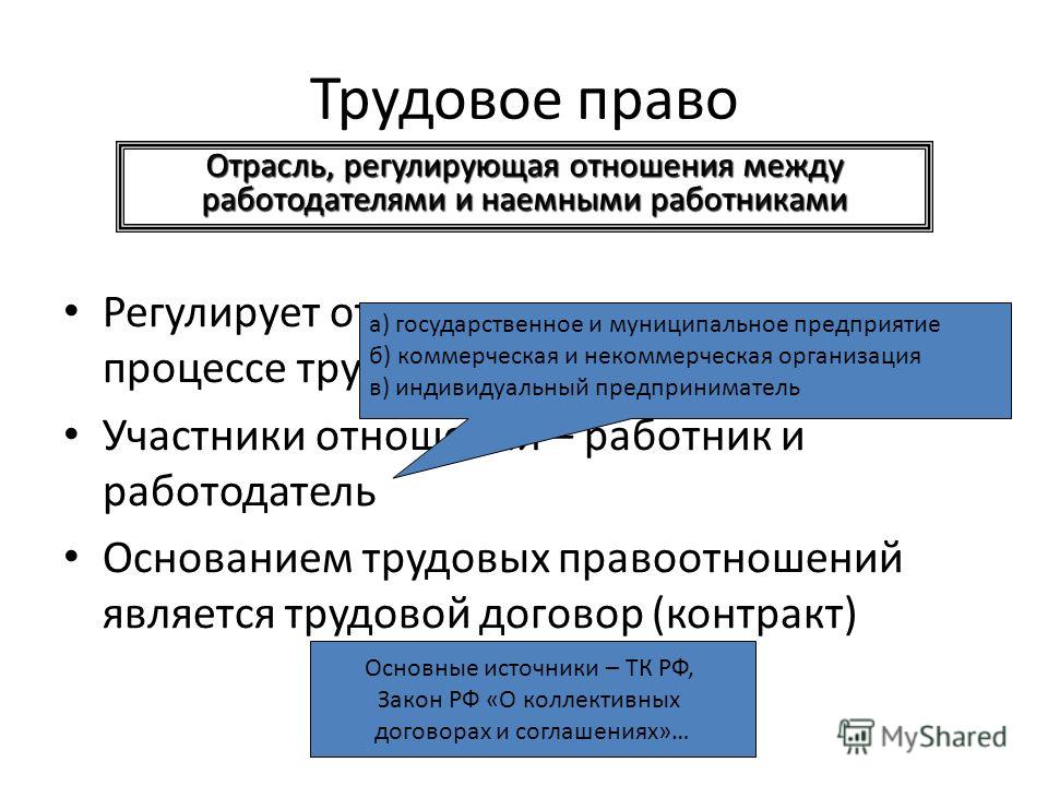 Глобализация мировой экономики Вязаный мех / Отзывы специалистов Яблоня-блог