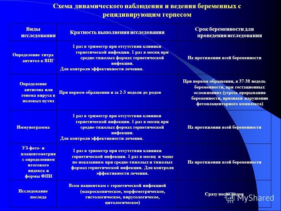 определение титра антител у беременных определение титра антител у беременных