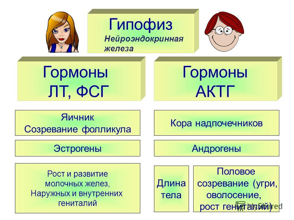 Всд темные круги под глазами