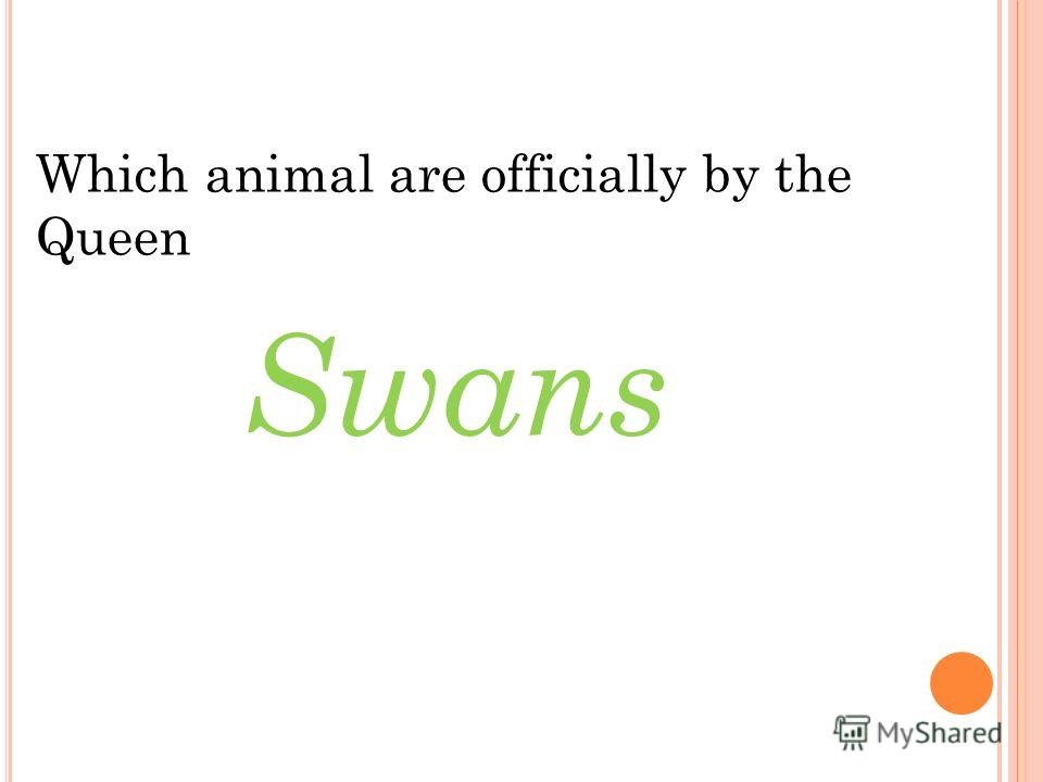 Which animal are officially by the Queen Swans