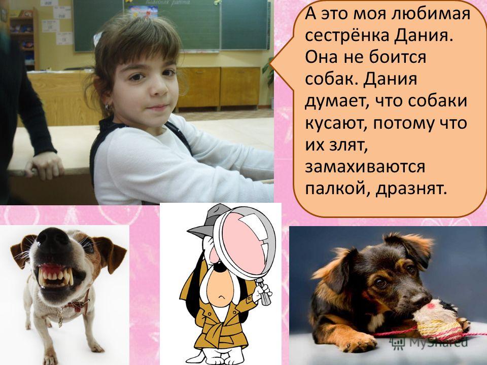 Как сделать так чтобы собака любила только меня Как сделать так чтобы собака любила только меня