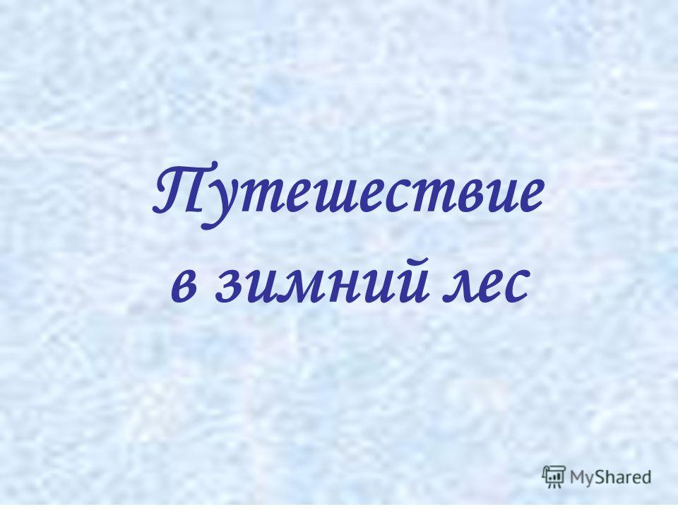 Картинки из жизни диких животных зимой Картинки из жизни диких животных зимой
