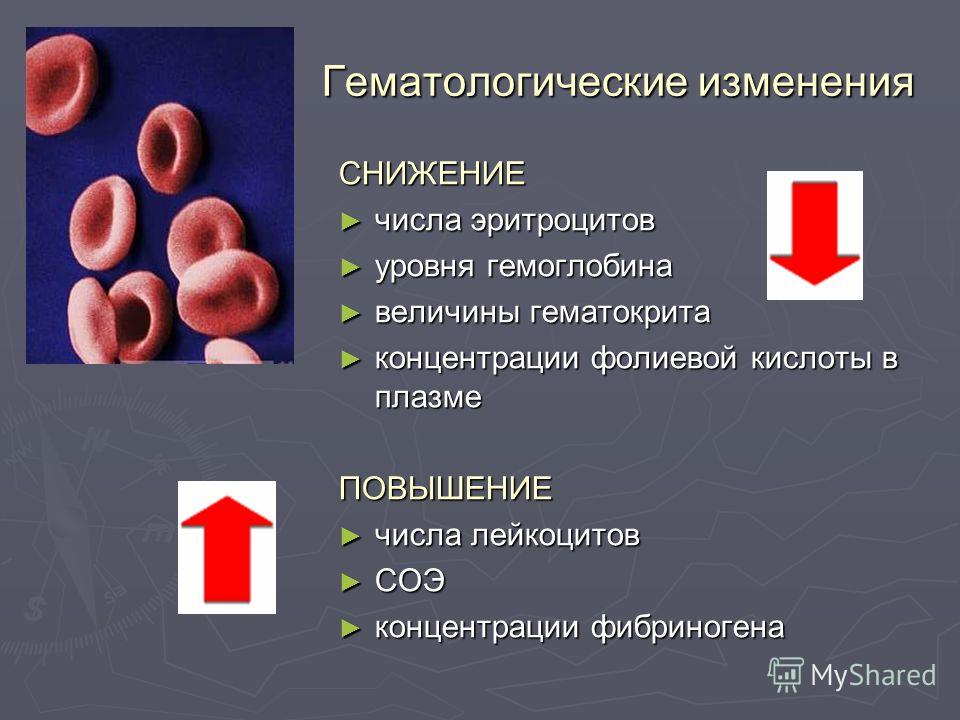 Повышенные эритроциты в крови у беременных причины 45