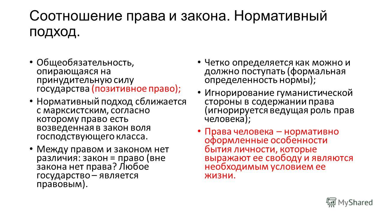 Раскраска по номерам Турбо Агент Мопс Худ Патрис Мурчиано Психология выбора аватара. Тест о чем расскажет ава - узнай о