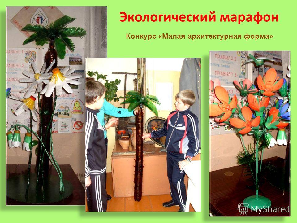 Сценарий экологический конкурс грибной марафон Сценарий экологический конкурс грибной марафон