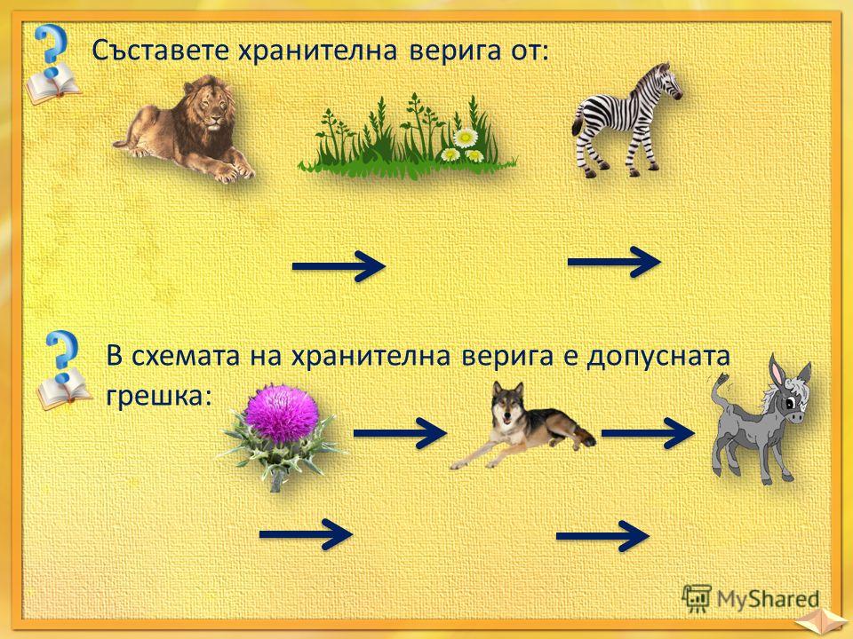 Презентация на тему: "Животните се разделят на групи по различни  признаци.". Скачать бесплатно и без регистрации.