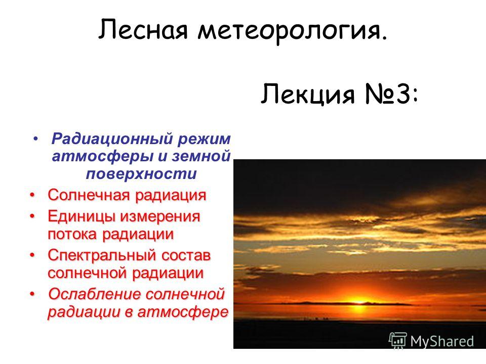 Дневник Летней Практики В Лагере Отчет Дневник Летней Практики В Лагере Отчет