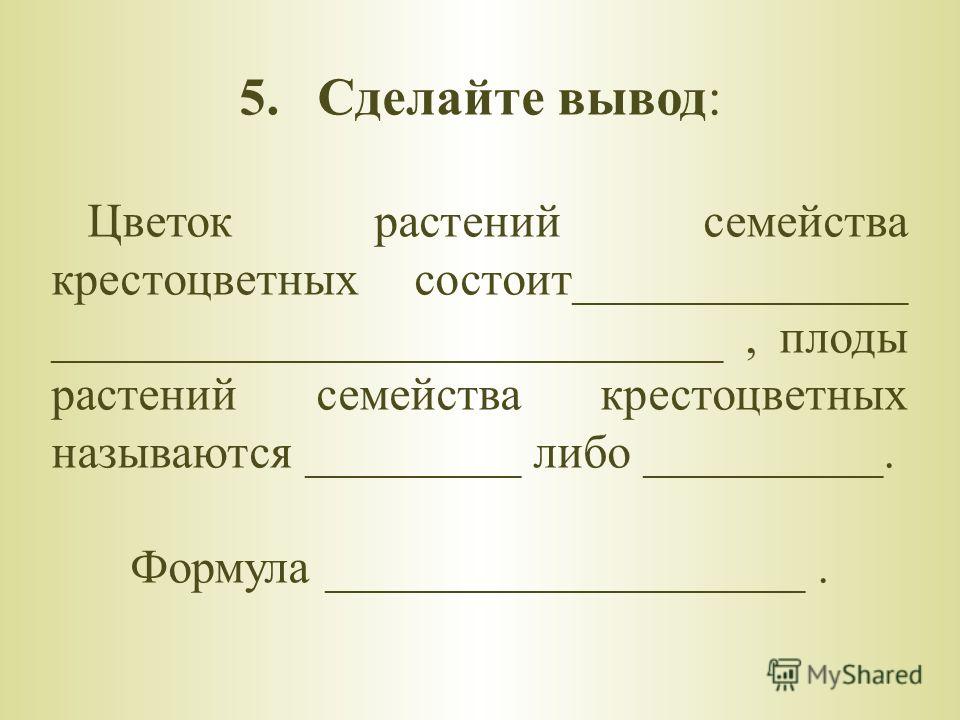 Готовая лабораторная работа по биологии пономарева 6 класс строение цветка