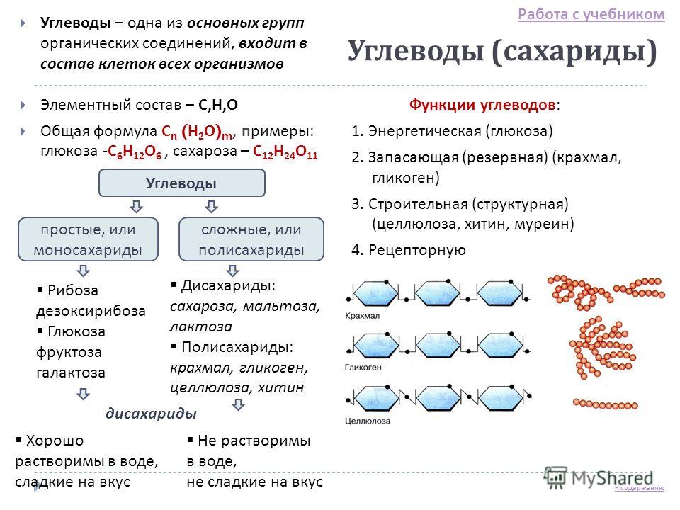 План-конспект урока биологии в 9 классе молекулярный уровень