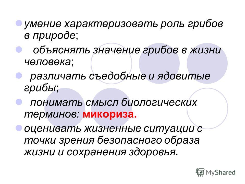 Вахрушев биология 6 кл о тех кто растет но не бегает учебник скачать