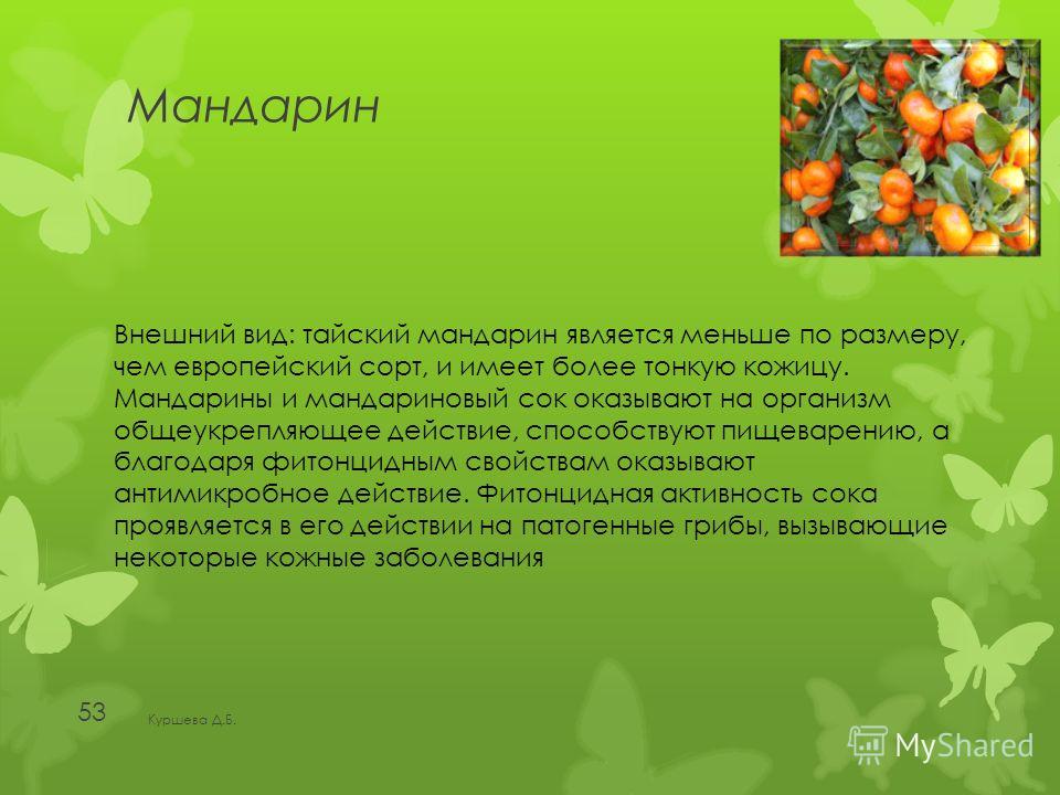 диетолог магнитогорск диетолог магнитогорск