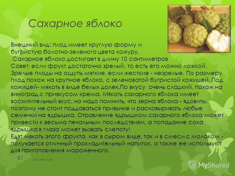 диетолог магнитогорск диетолог магнитогорск
