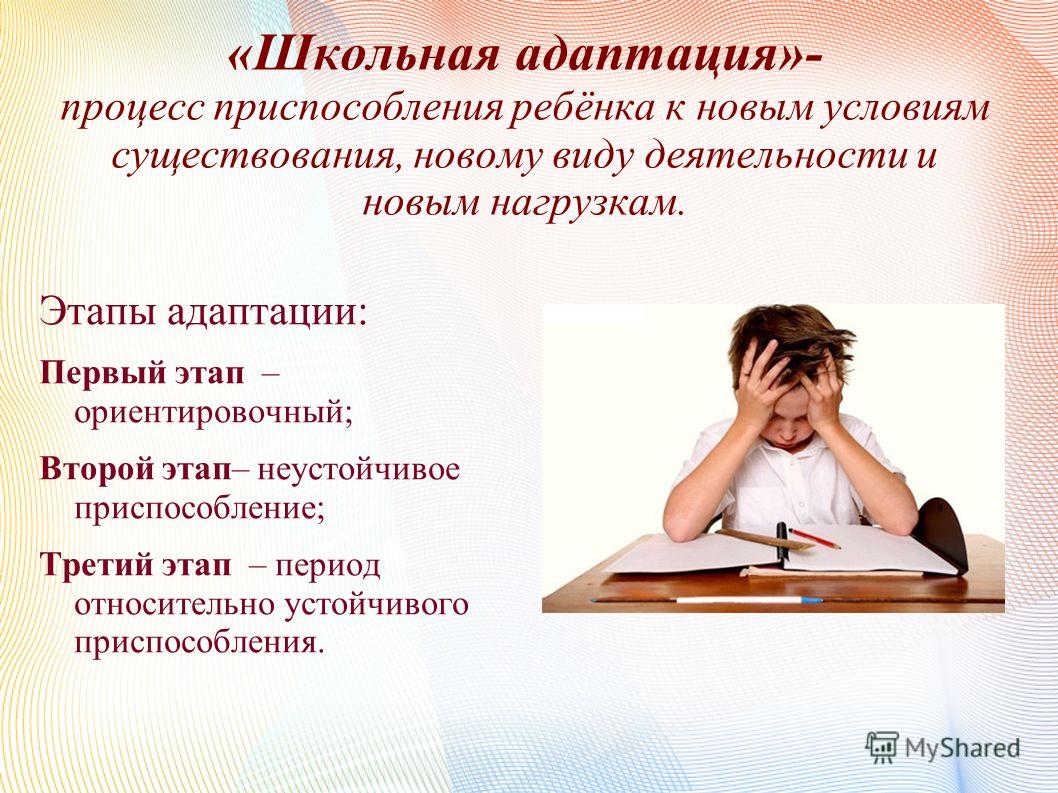 Процесс адаптации связан с Процесс адаптации связан с