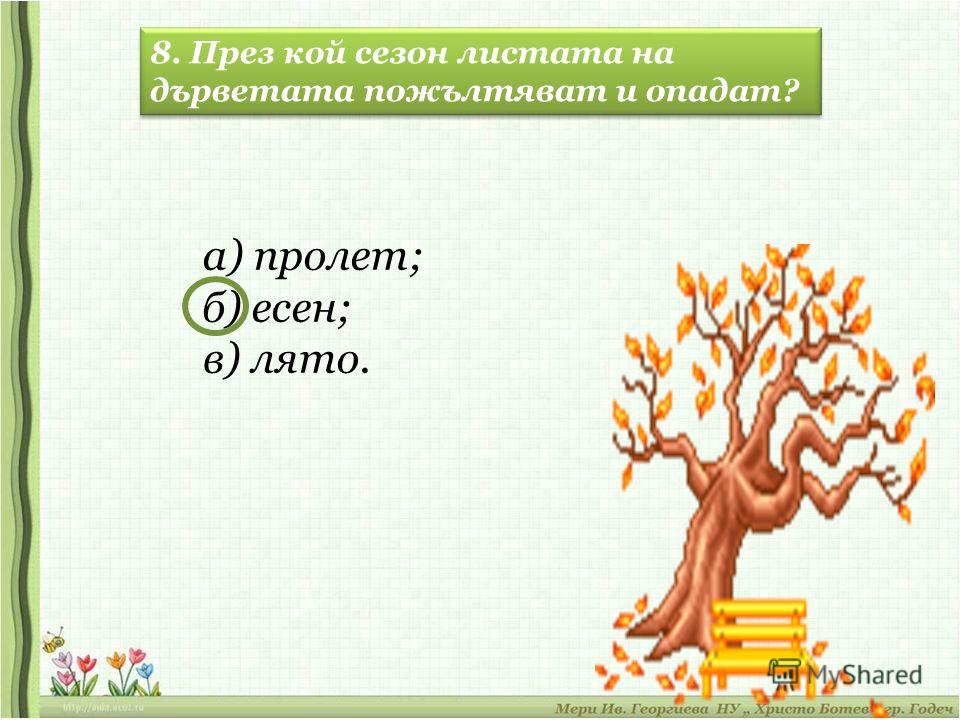 8. През кой сезон листата на дърветата пожълтяват и опадат? а) пролет; б) есен; в) лято.