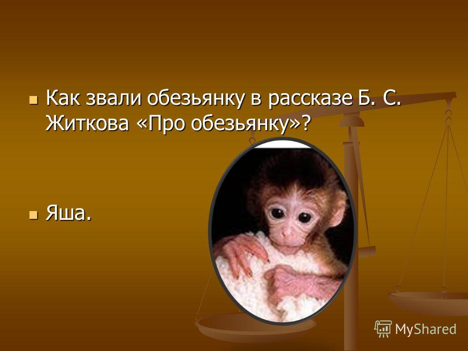 Как звали обезьянку в рассказе Б. С. Житкова «Про обезьянку»? Как звали обезьянку в рассказе Б. С. Житкова «Про обезьянку»? Яша. Яша.