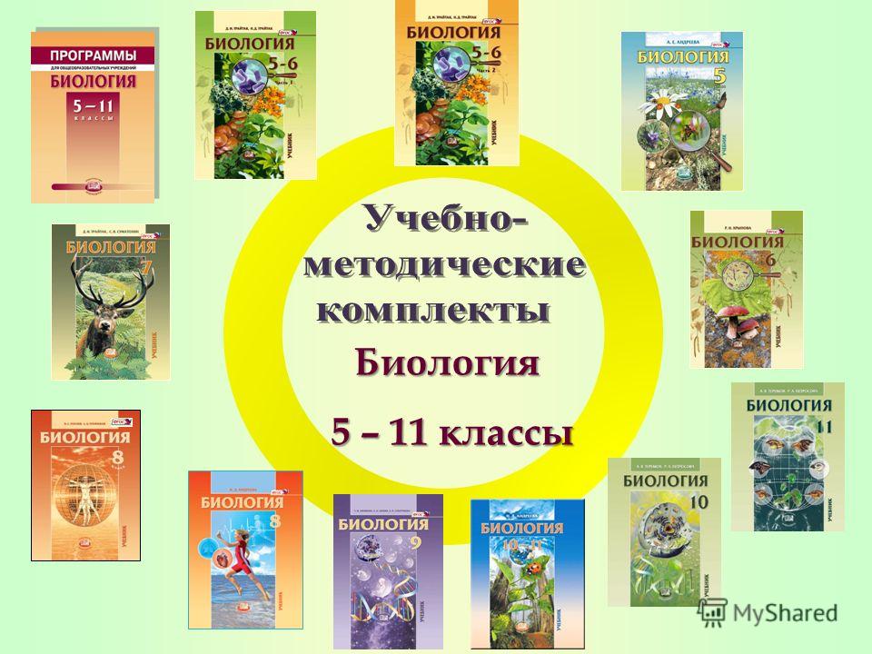 Учебники Русского Языка.Бесплатно