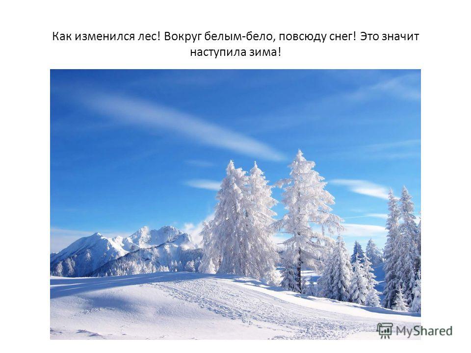Картинки к презентации что такое зима Картинки к презентации что такое зима