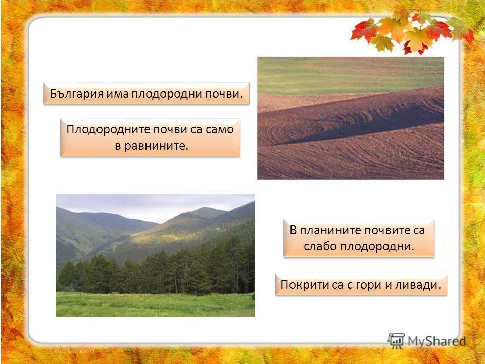 България има плодородни почви. Плодородните почви са само в равнините. Плодородните почви са само в равнините. В планините почвите са слабо плодородни. В планините почвите са слабо плодородни. Покрити са с гори и ливади.