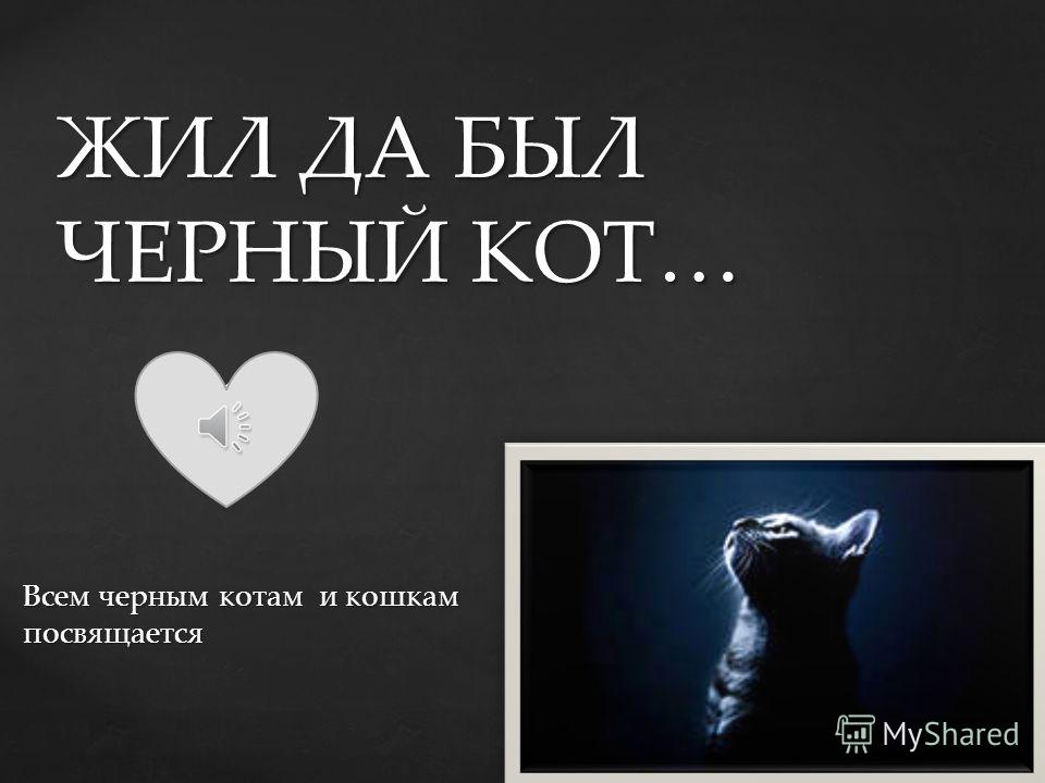 черный кот песня текст черный кот песня текст