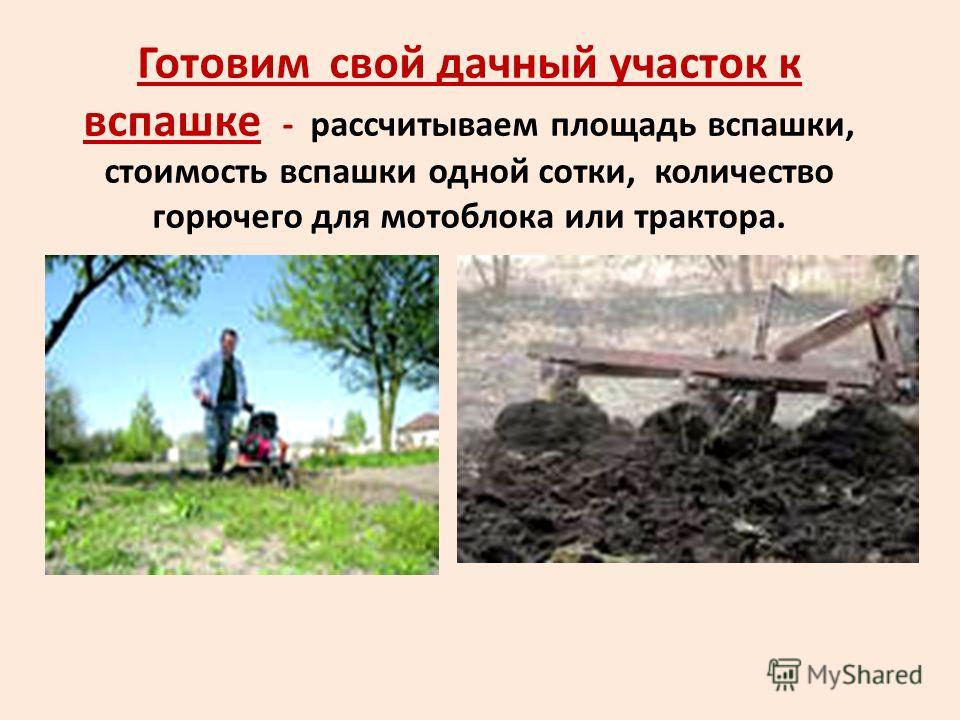 Уильям Блейк Стихи скачать
