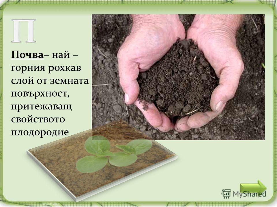 Почва– най – горния рохкав слой от земната повърхност, притежаващ свойството плодородие