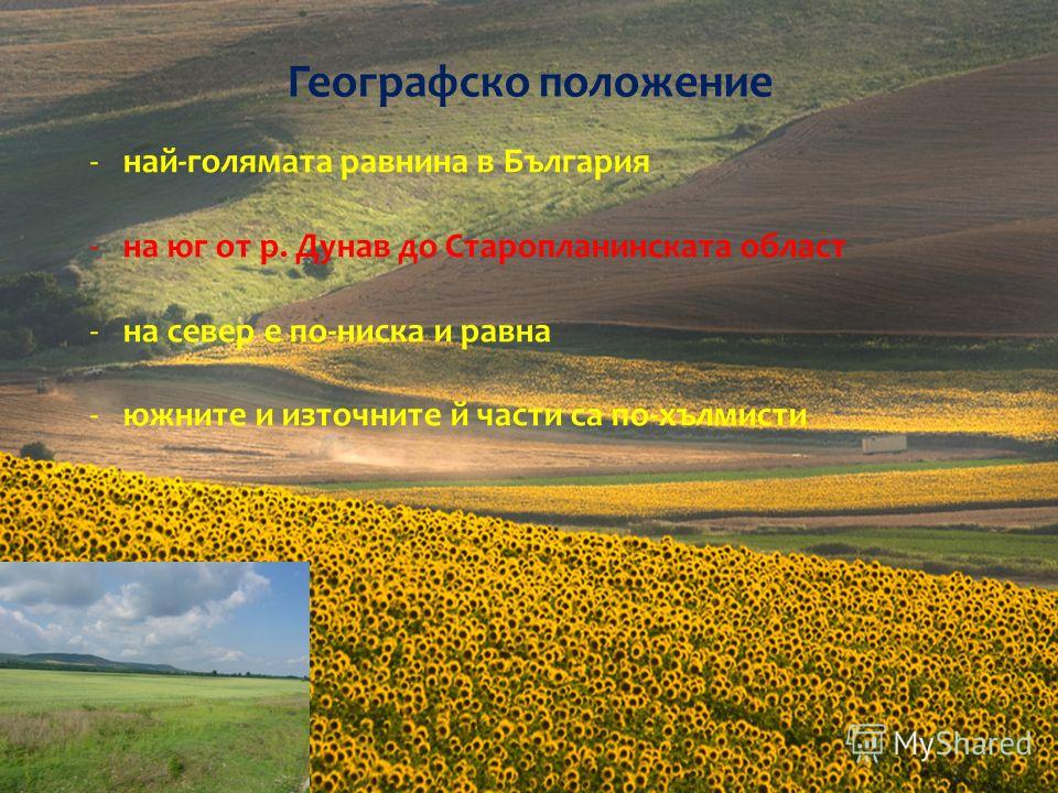 Географско положение -най-голямата равнина в България -на юг от р. Дунав до Старопланинската област -на север е по-ниска и равна -южните и източните й части са по-хълмисти
