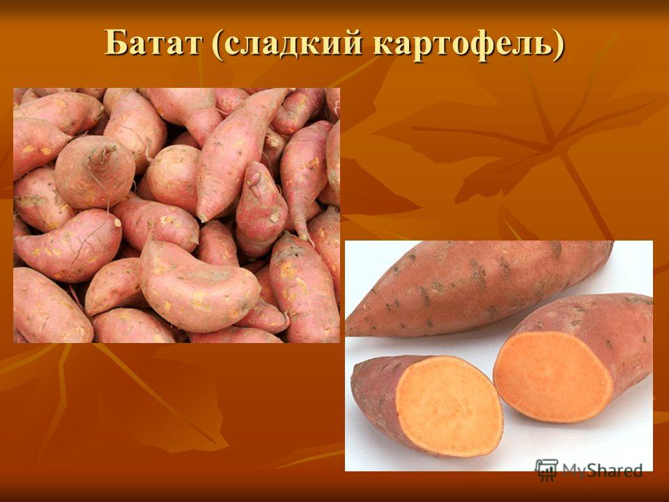 сладкий батат сладкий батат