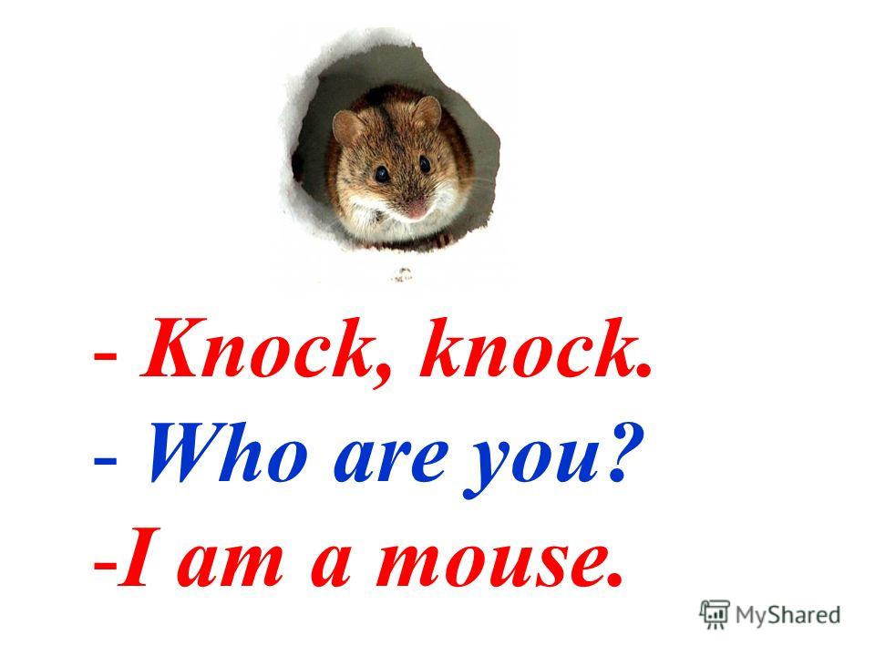 - Knock, knock. - Who are you? -I am a mouse.