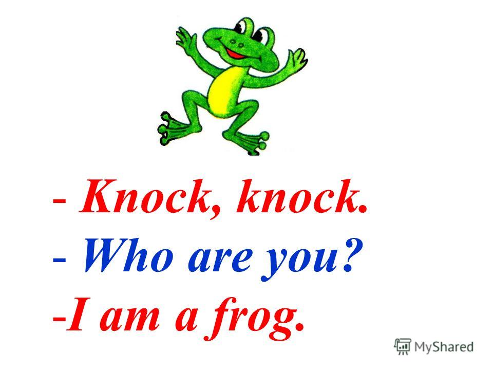 - Knock, knock. - Who are you? -I am a frog.