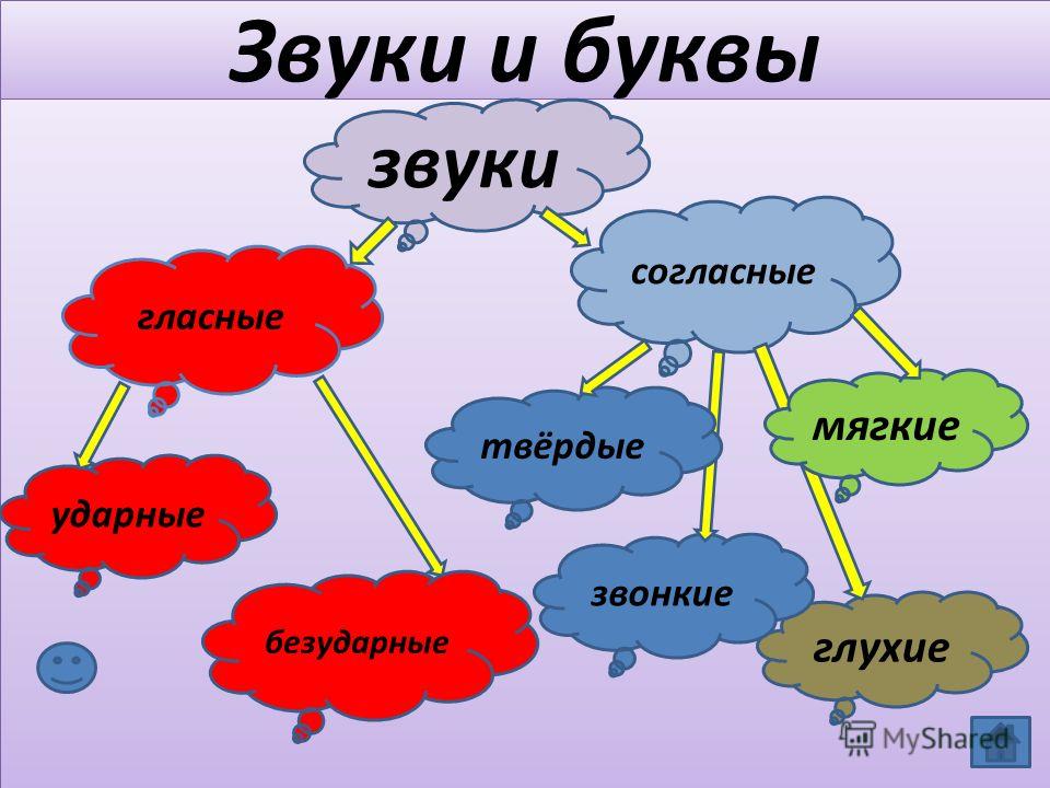 slide_3.jpg