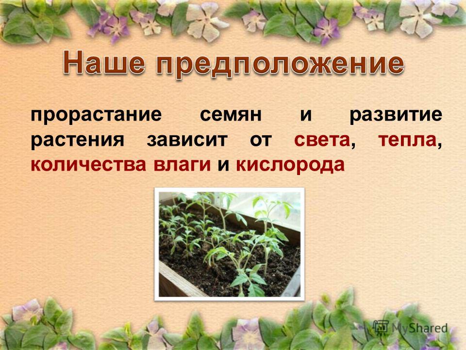 прорастание семян и развитие растения зависит от света, тепла, количества влаги и кислорода