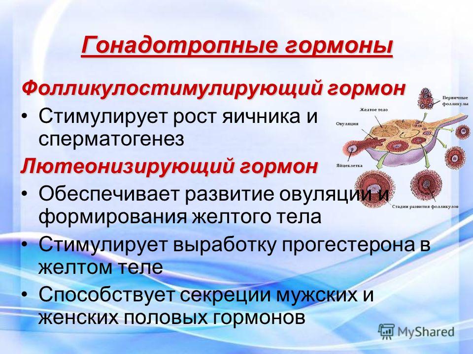 Гормон фсг с чем связано Гормон фсг с чем связано