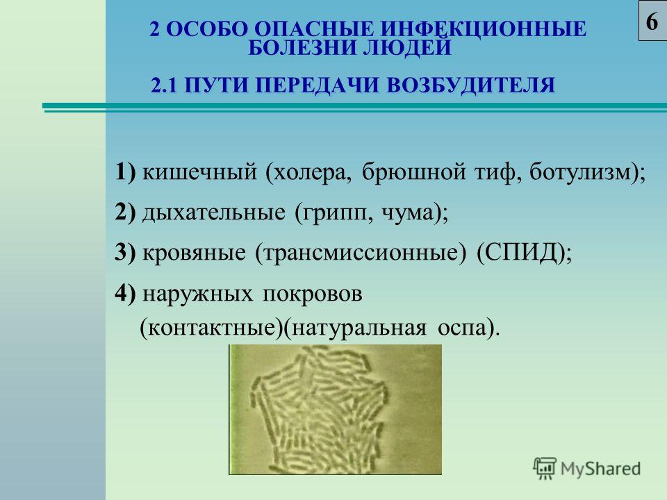 Форма проекта: предметноориентированный Чрезвычайная ситуация биолого-социальног
