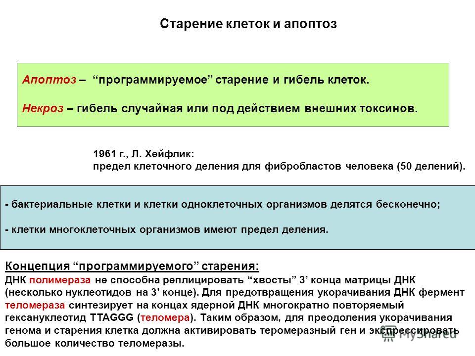 pdf Гидрогеодинамическое