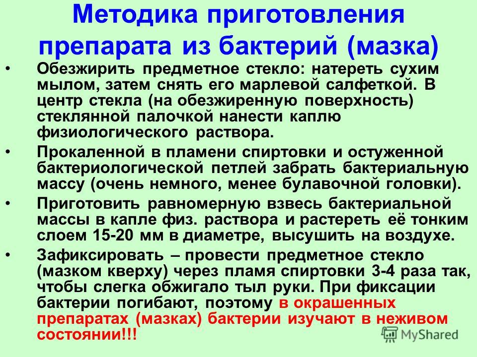 Схема последовательности этапов приготовления мазка