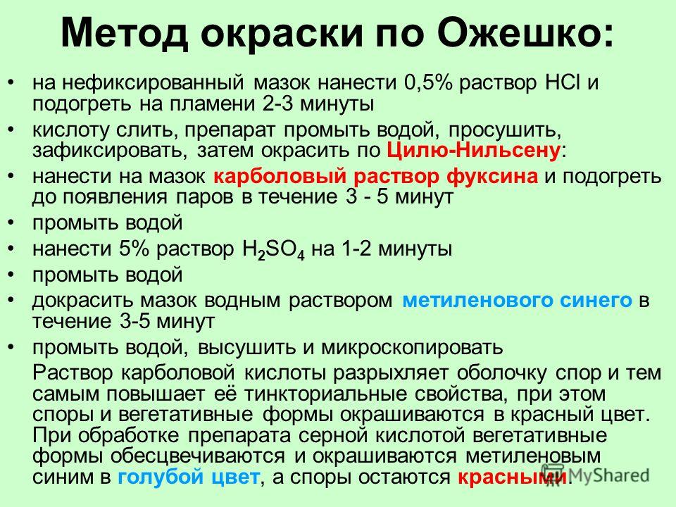 Метод фиксации при окрашивании Метод фиксации при окрашивании