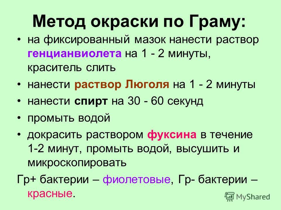 Метод фиксации при окрашивании Метод фиксации при окрашивании