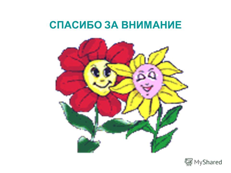 Цветок орган покрытосеменных Цветок орган покрытосеменных