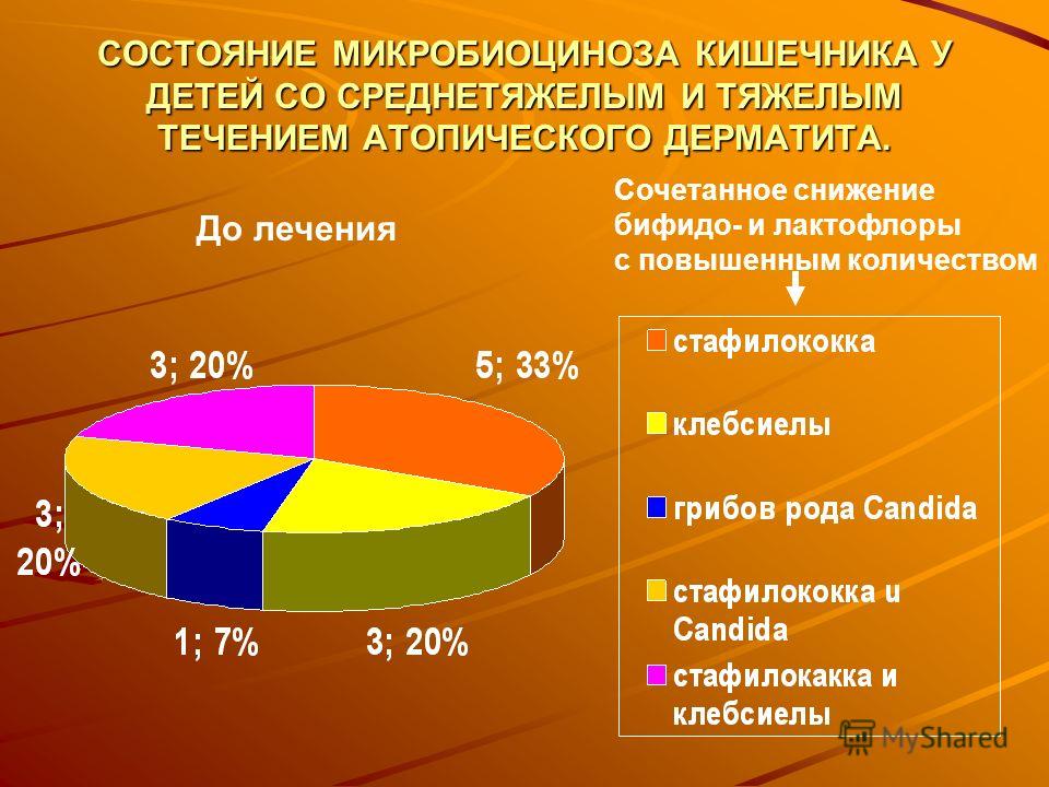 посмотреть ебля крутых студентов Добавил закладки моему мнению