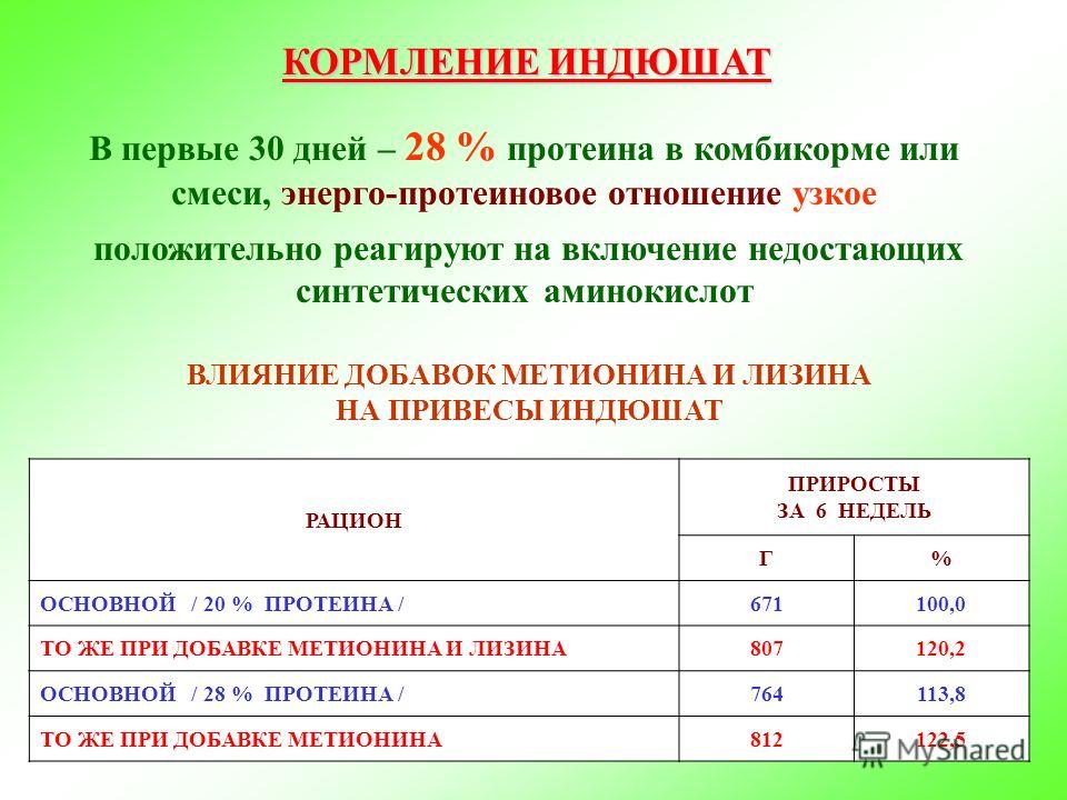 Энерго протеиновое отношение это Энерго протеиновое отношение это