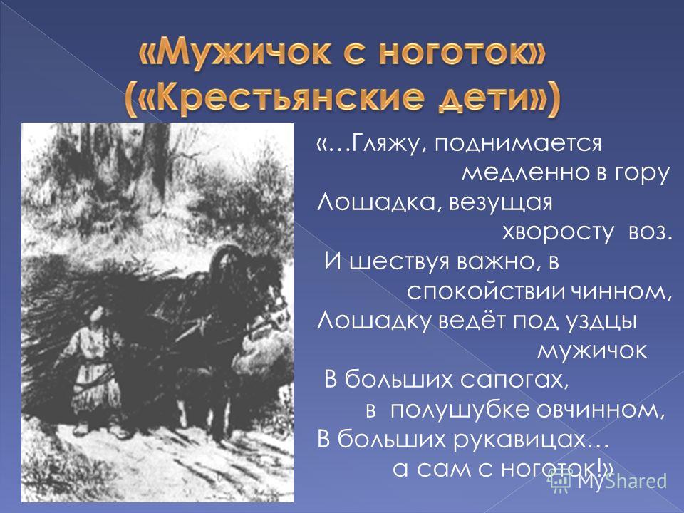 Лошадку ведет под уздцы мужичок стих Лошадку ведет под уздцы мужичок стих