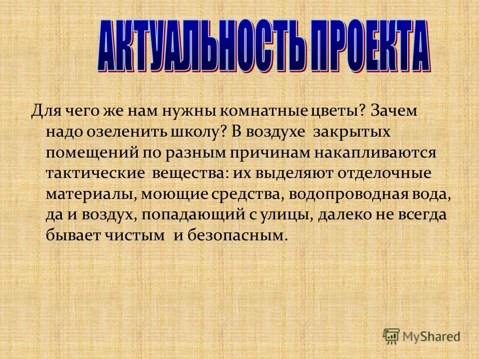 Конкурс зеленого уголка Конкурс зеленого уголка