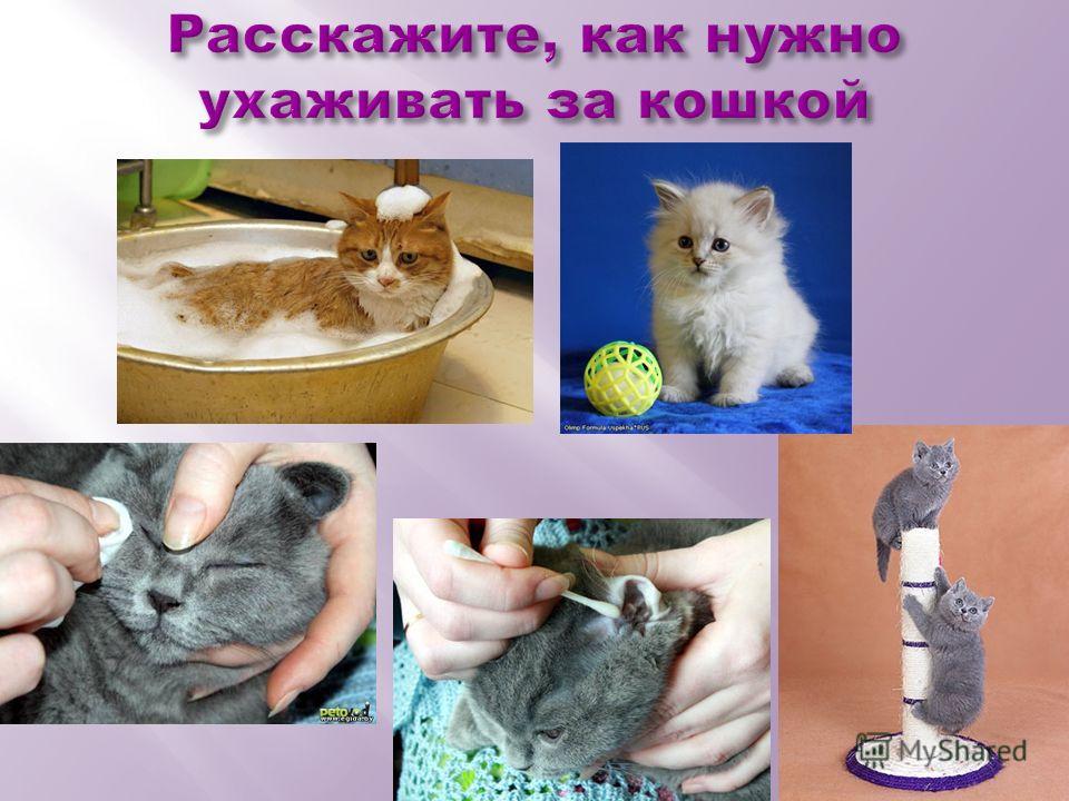 Толстое лицо стрижка Толстое лицо стрижка