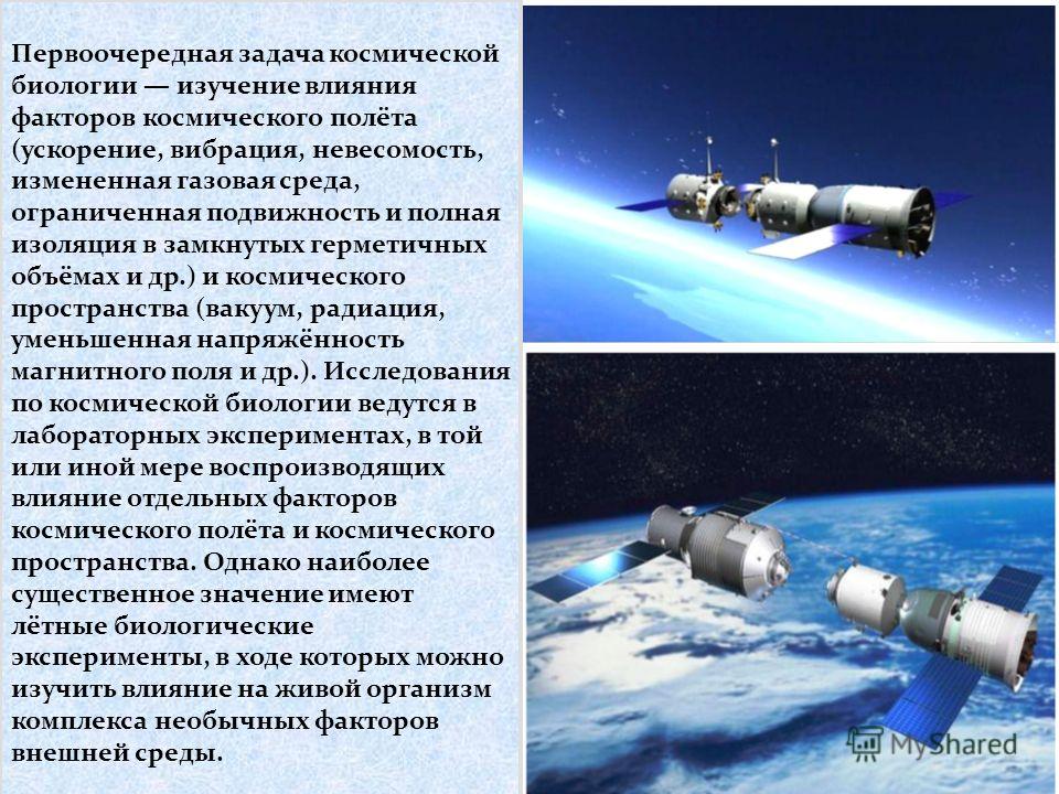 Космическая Медицина Реферат Космическая Медицина Реферат