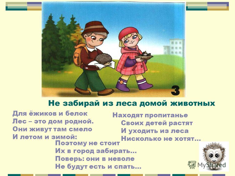 Организация детских праздников в Москве, заказать Новый год - сценарии для детей - Сценарии праздников - Статьи