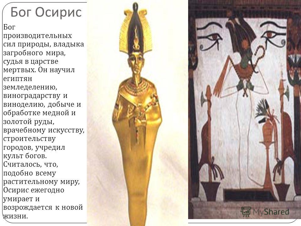 Транс трахает мужа и жену