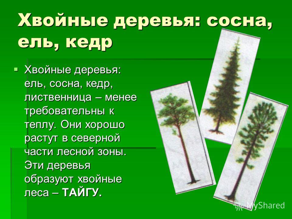 Более 25 лучших идей на тему «Ткачество бисером» на Pinterest Музыкальные открытки ДАРИ РАДОСТЬ