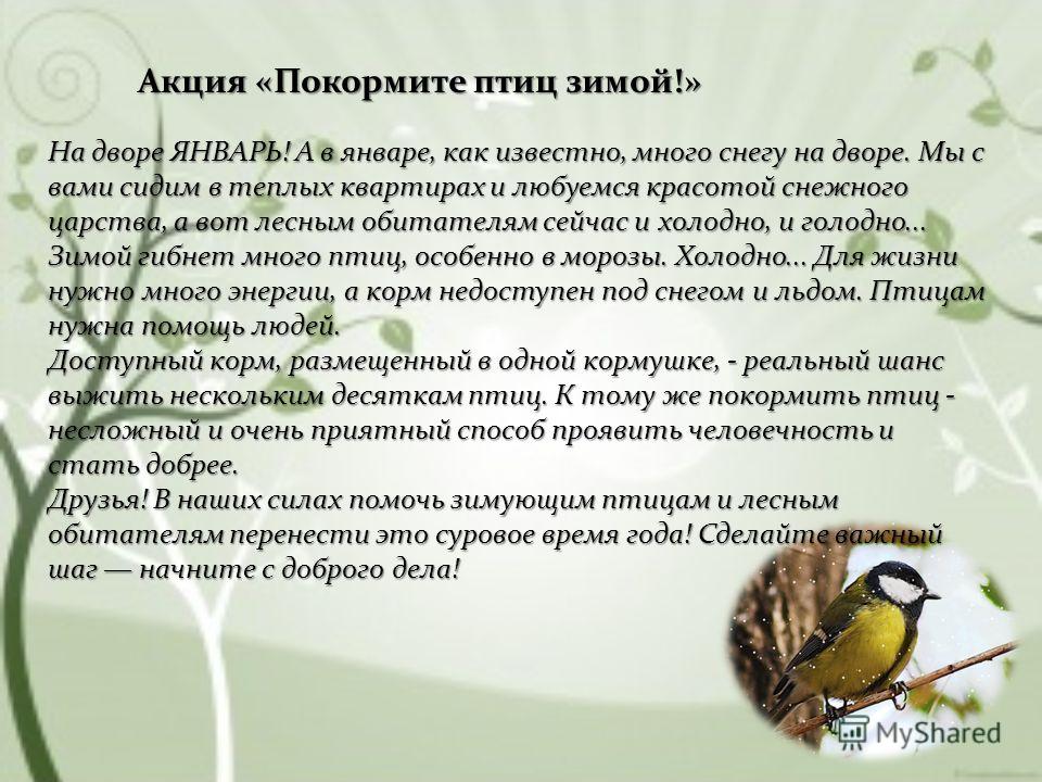 Зимняя резина закон когда
